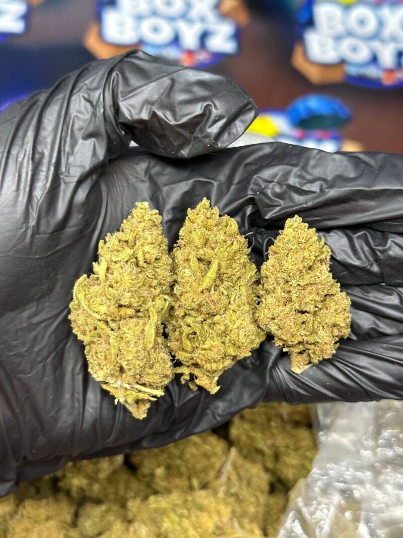 Sunset Driver strain