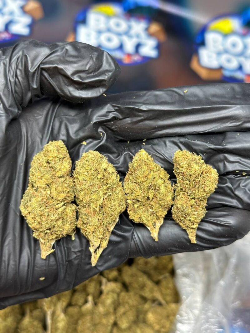 Banana Glue strain