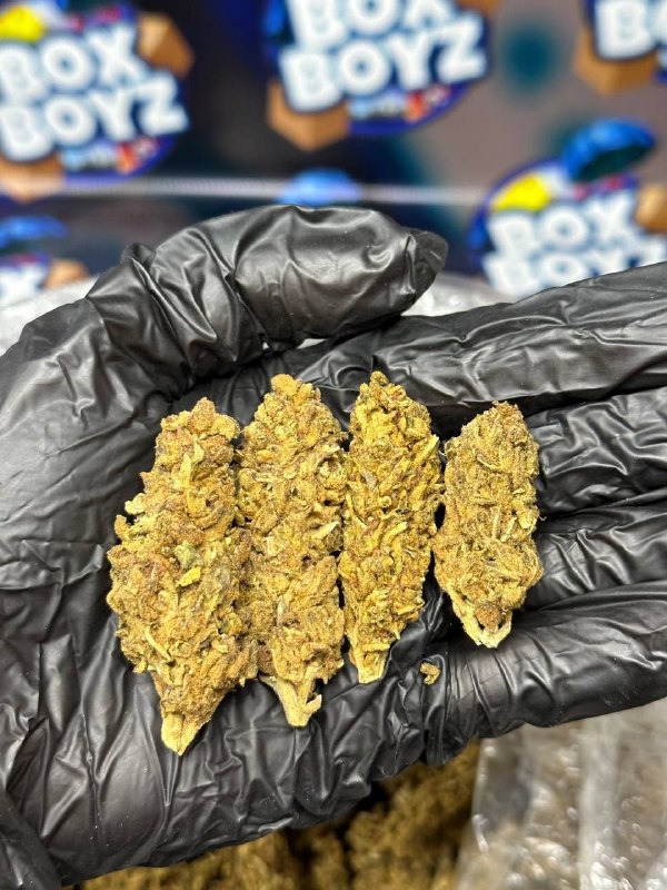 Juicy Fruit strain