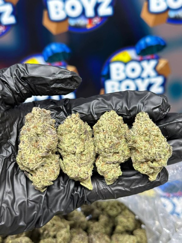 Arizona Gummies strain