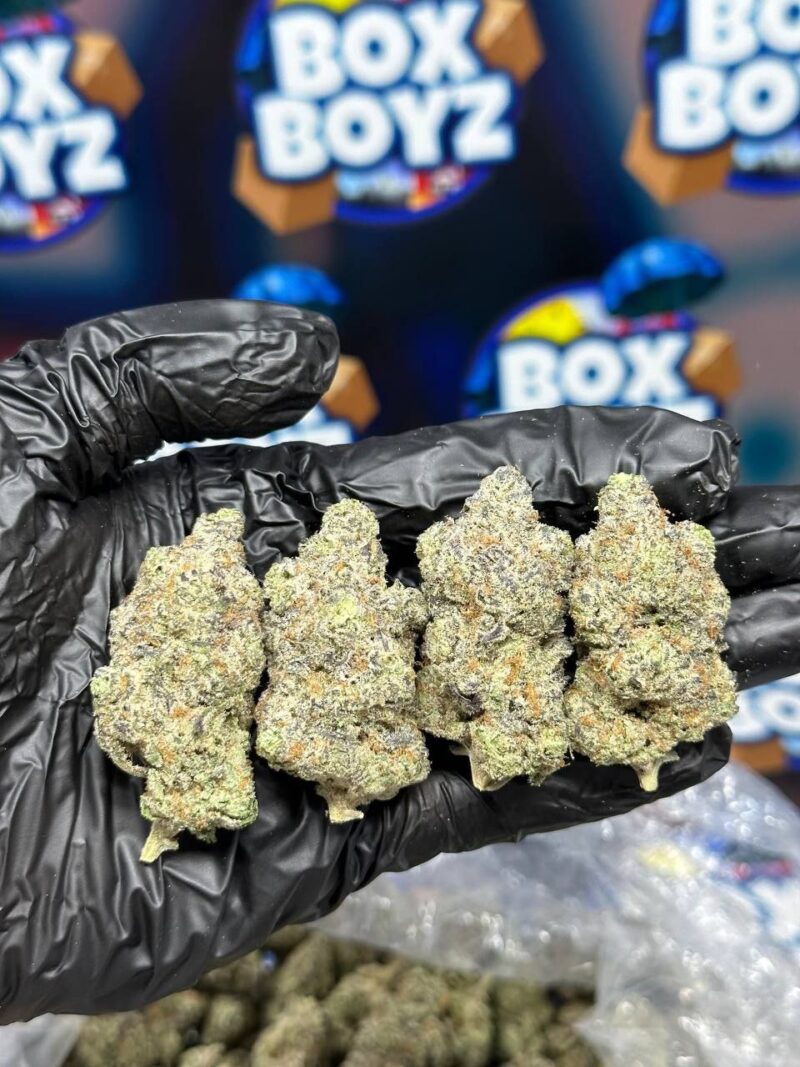 Watermelon Gelato strain