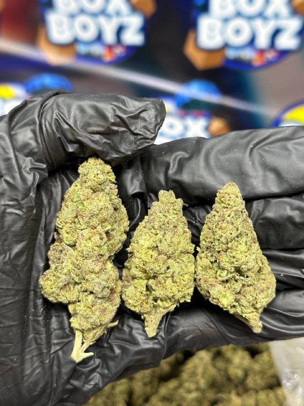 Blue Twixx strain
