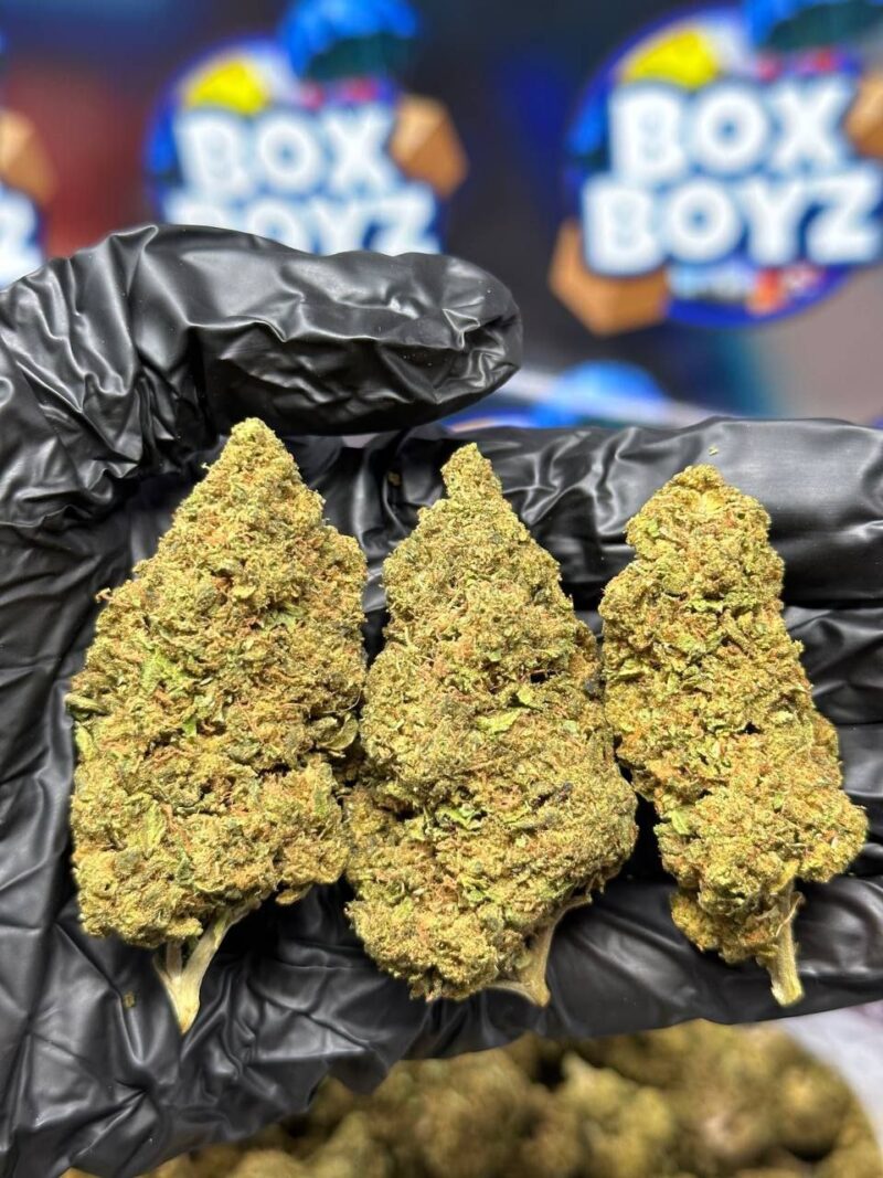 Dolce Gelato strain