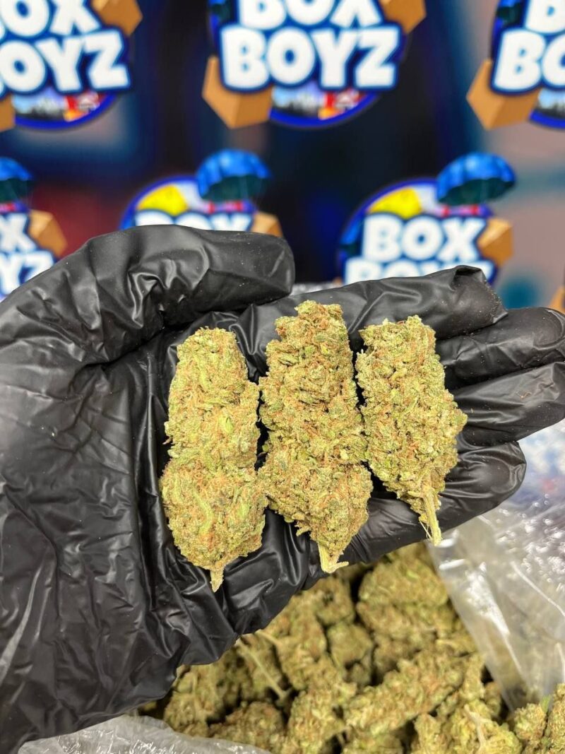 Lemon heads strain