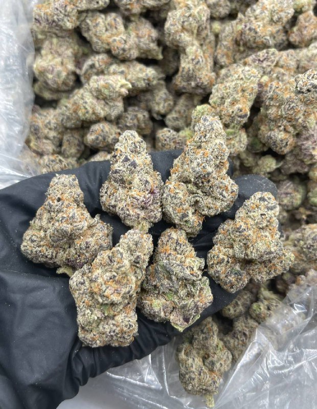 SPRINKLEZ X KABOOM STRAIN
