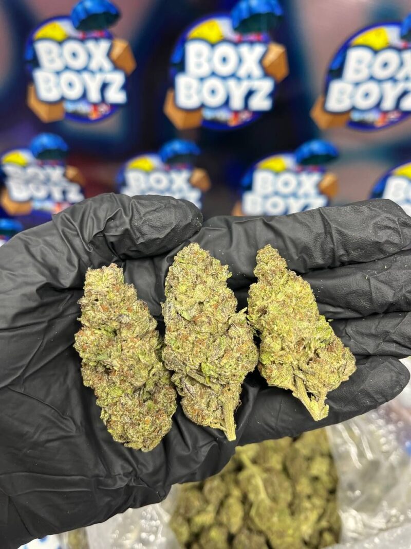 Lemon Cherry Gushers strain