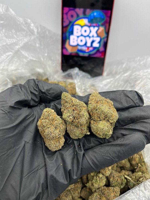 Zookies strain