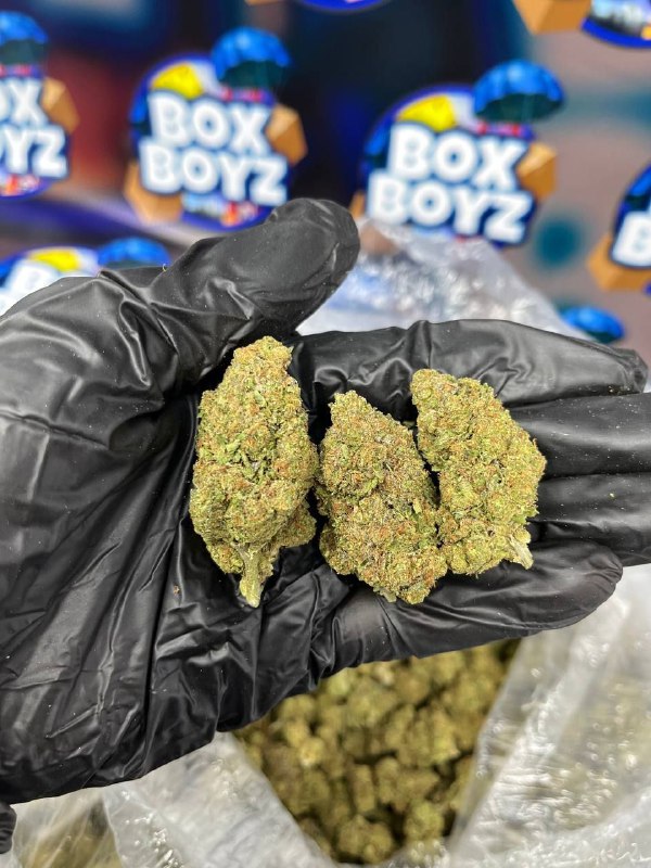 TRUFFLE BUTTER STRAIN