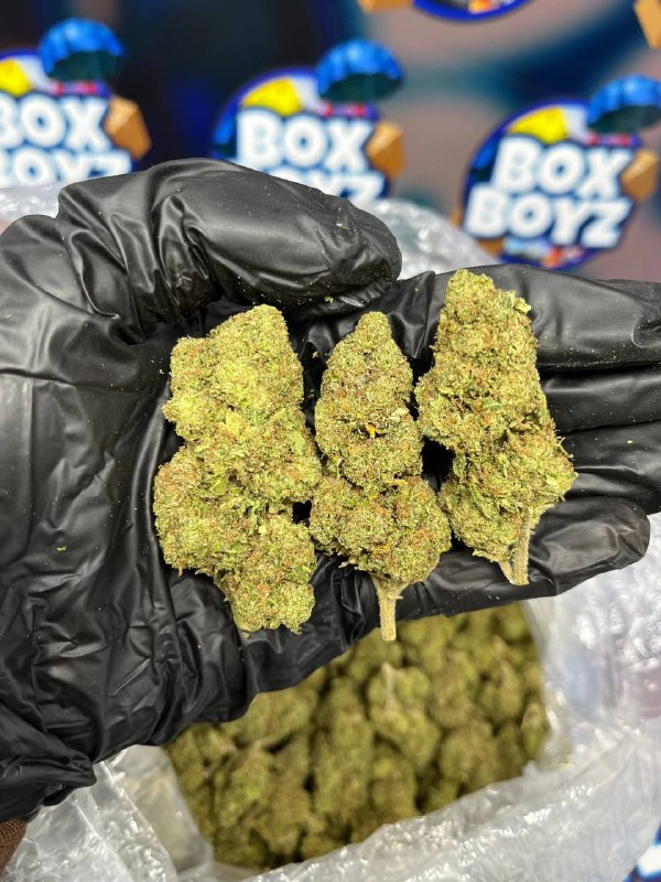 SPACE CANDY STRAIN