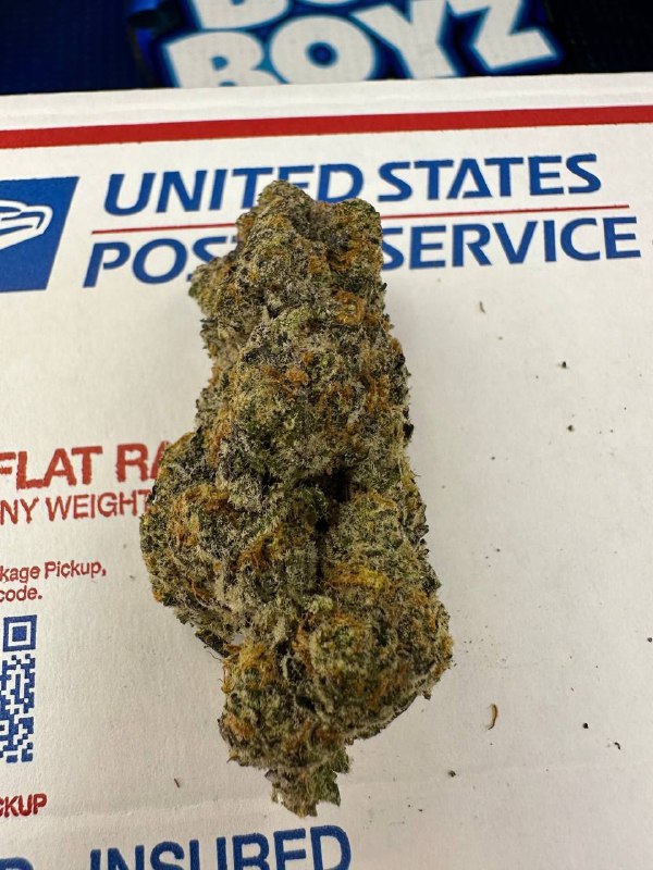 Pink Floyd strain
