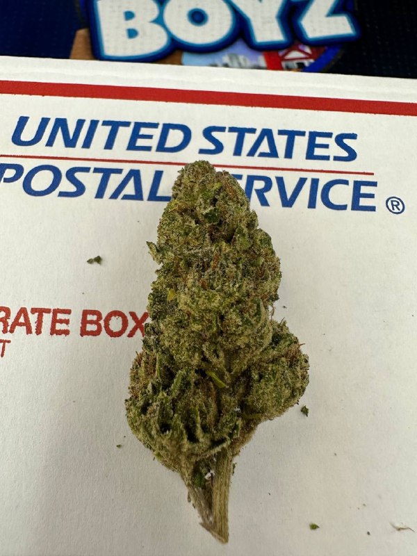 Apple & Bananas strain