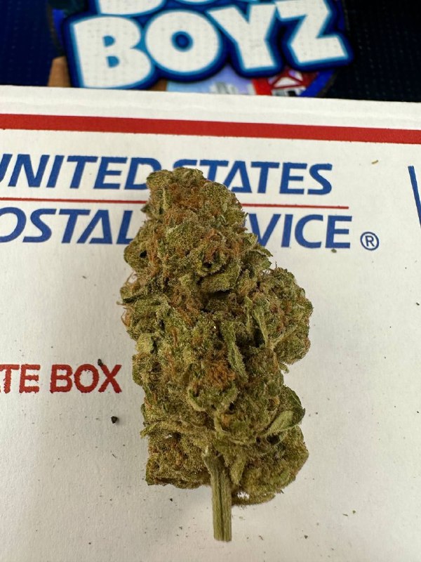 Pink Gushers strain