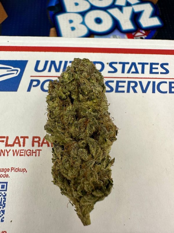 Ron Burgundy strain