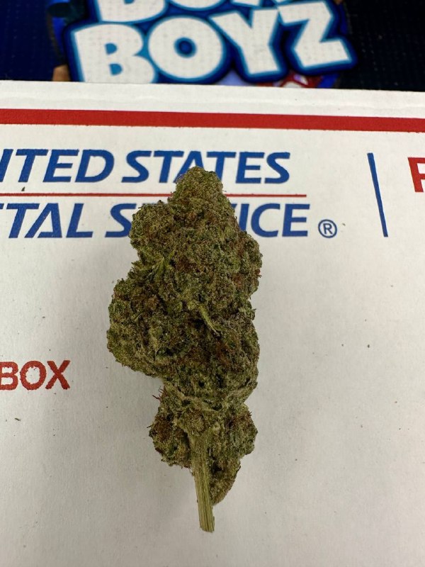 Blue Cherry Pie strain