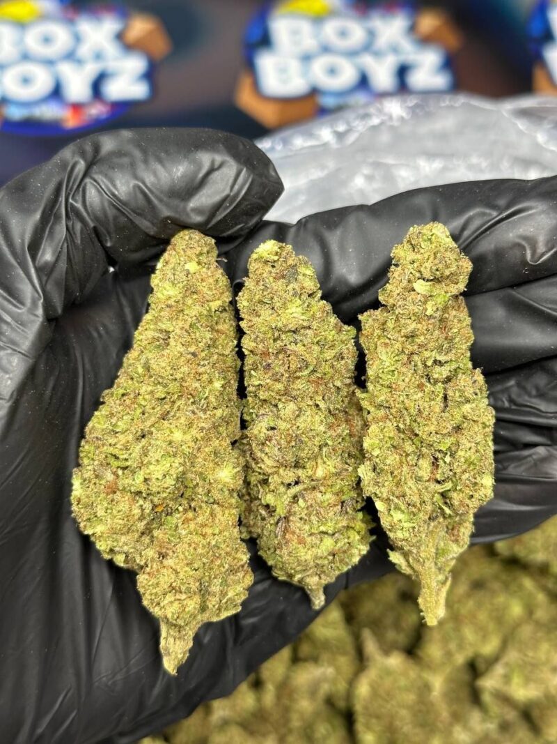 Blue Guava Runtz strain