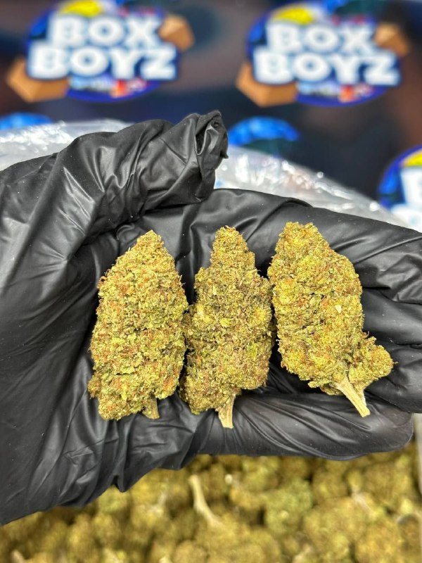 Slurty strain