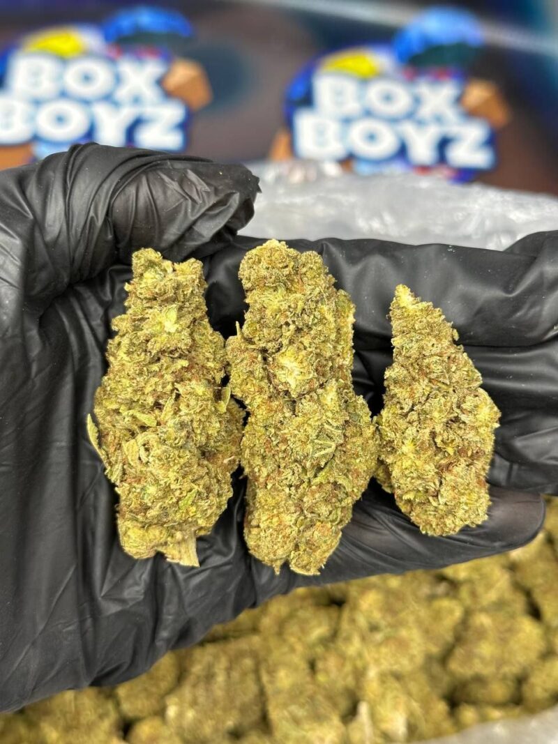 Ice cream strain