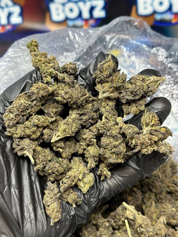 Ztarburst Smallz strain