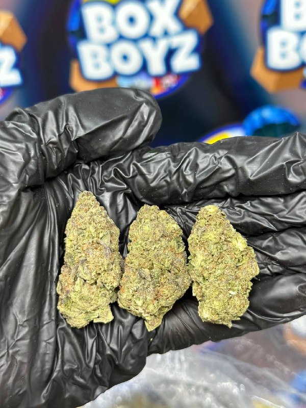 Peanut Butter Gelato strain