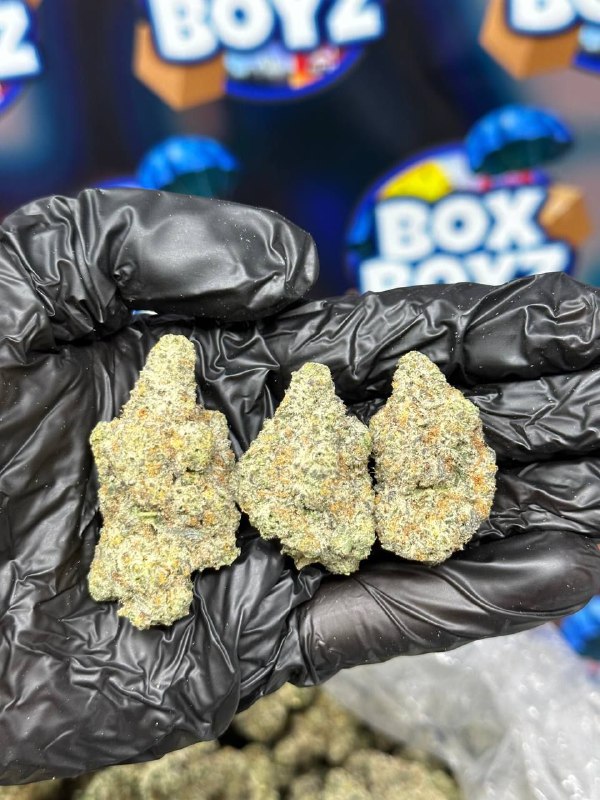 Guava Gelato strain