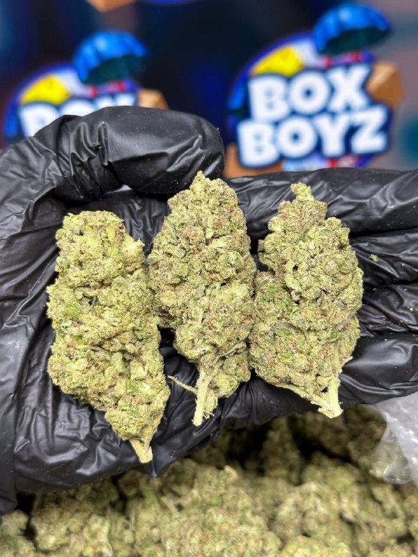 Soda Pop strain