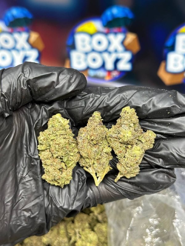 Cake Crasher strain