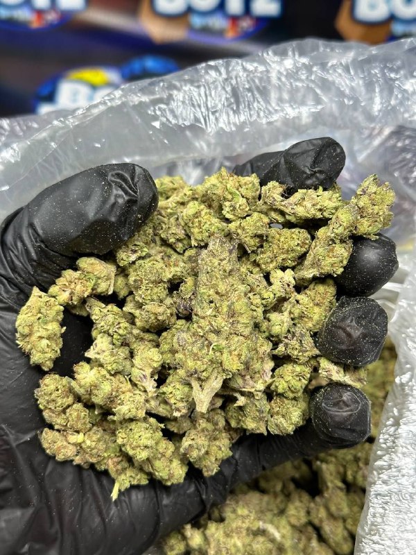 Melonade Smalls strain
