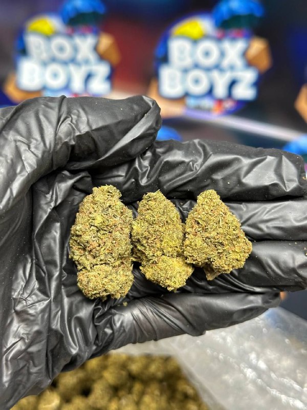 White fire strain