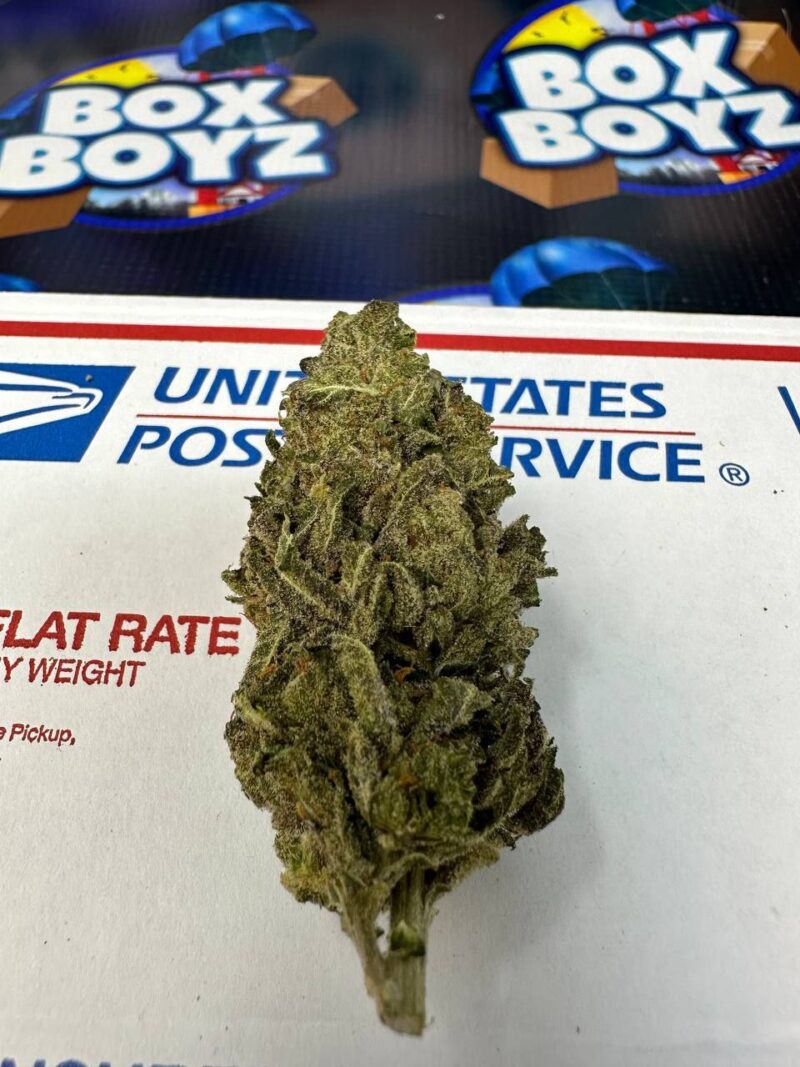 Lumpys Cherry Pie strain