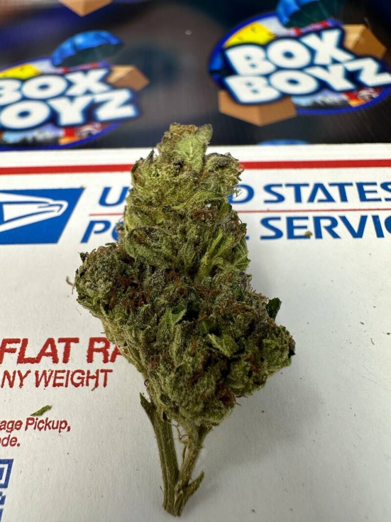 Sugared Trufflez strain