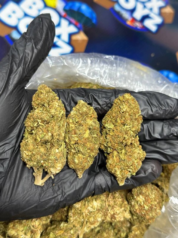 Violet Runtz strain