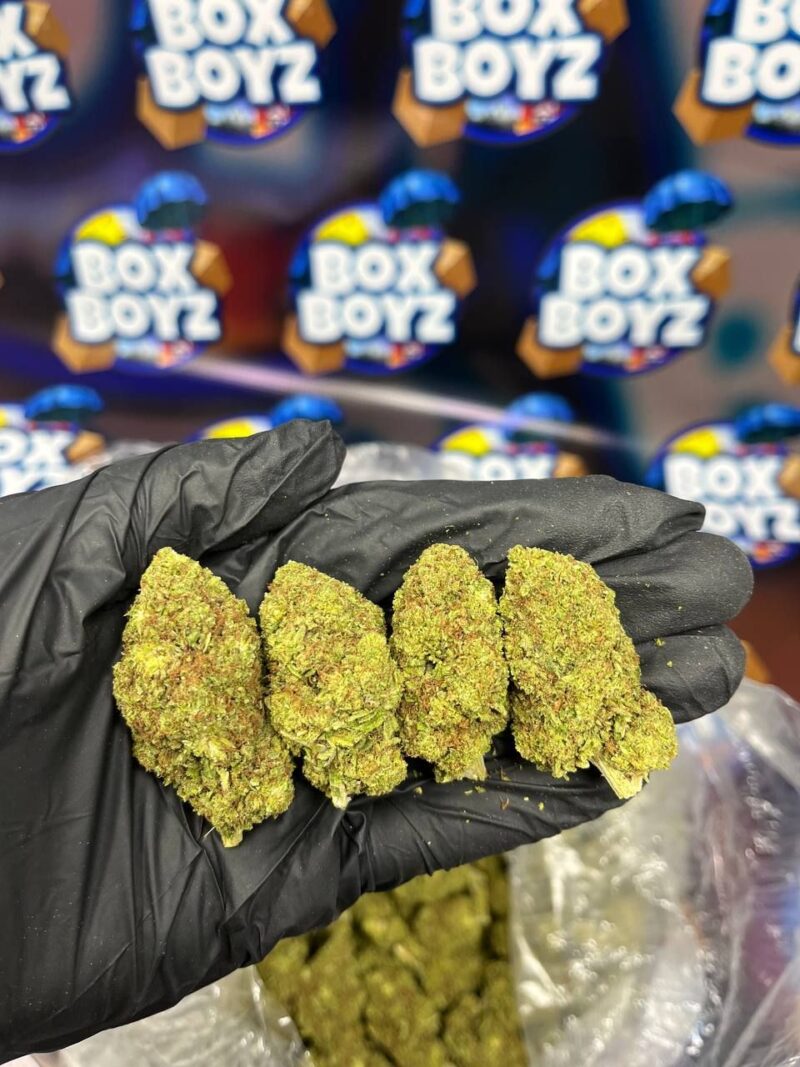 GG4 strain