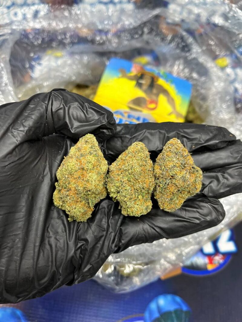 Tropicana Cookies strain