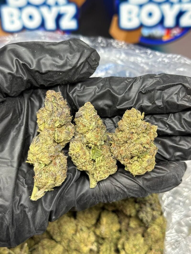 Jelly Donuts  strain