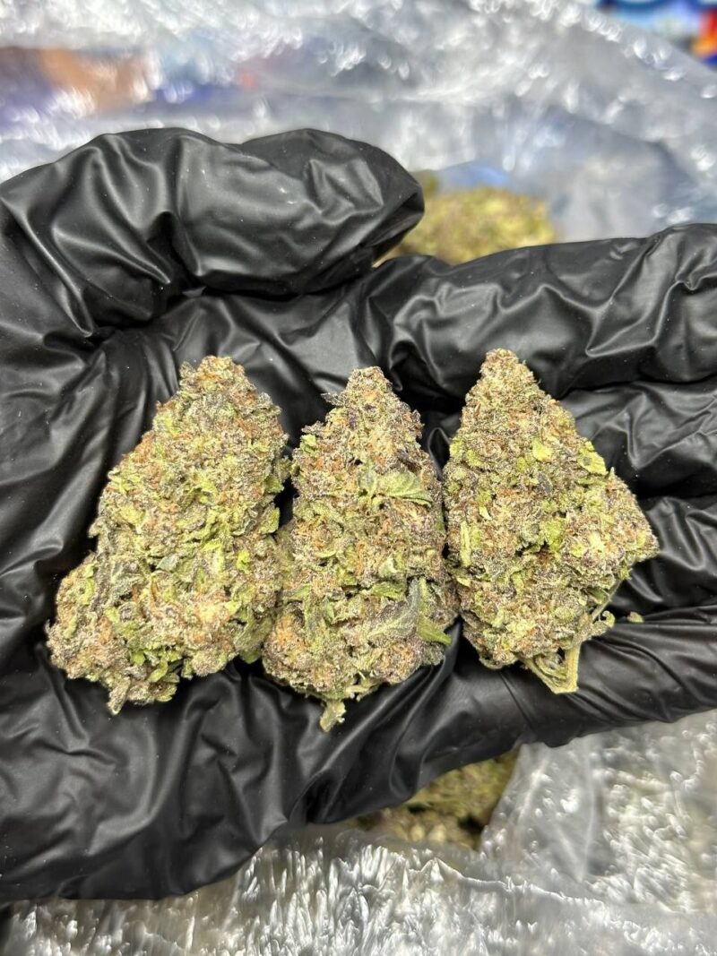 Oreo Gushers  strain