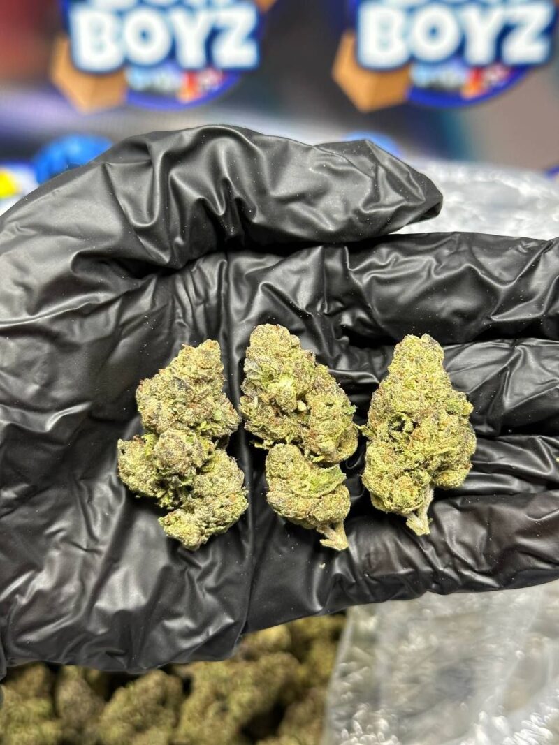Purple Mintz strain