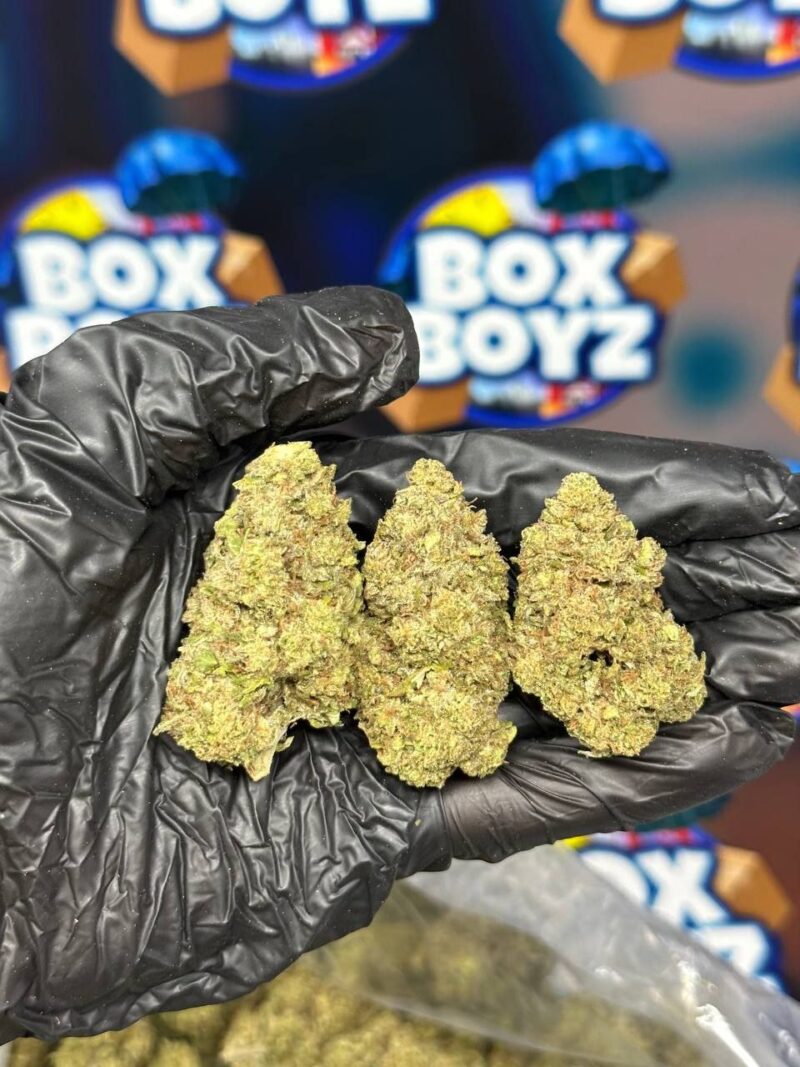 Galaxy Cherries strain