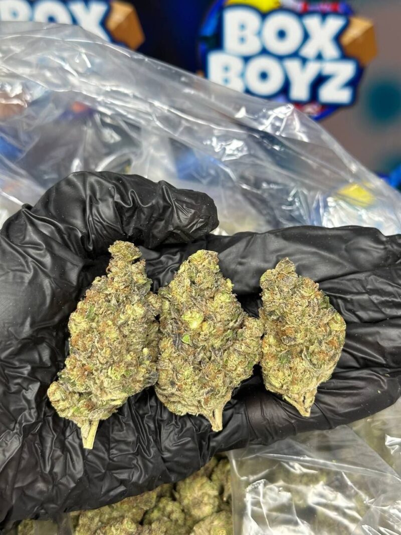 Mac Mintz strain