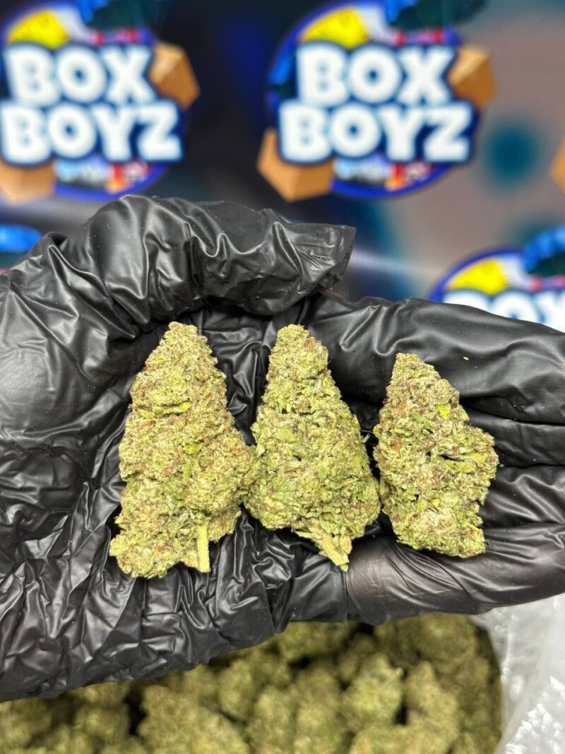 Mochi berries strain