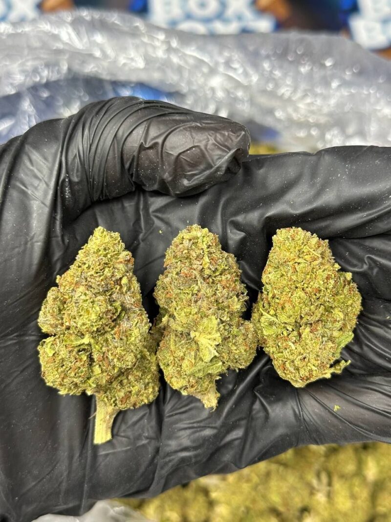 Frozen berries  strain