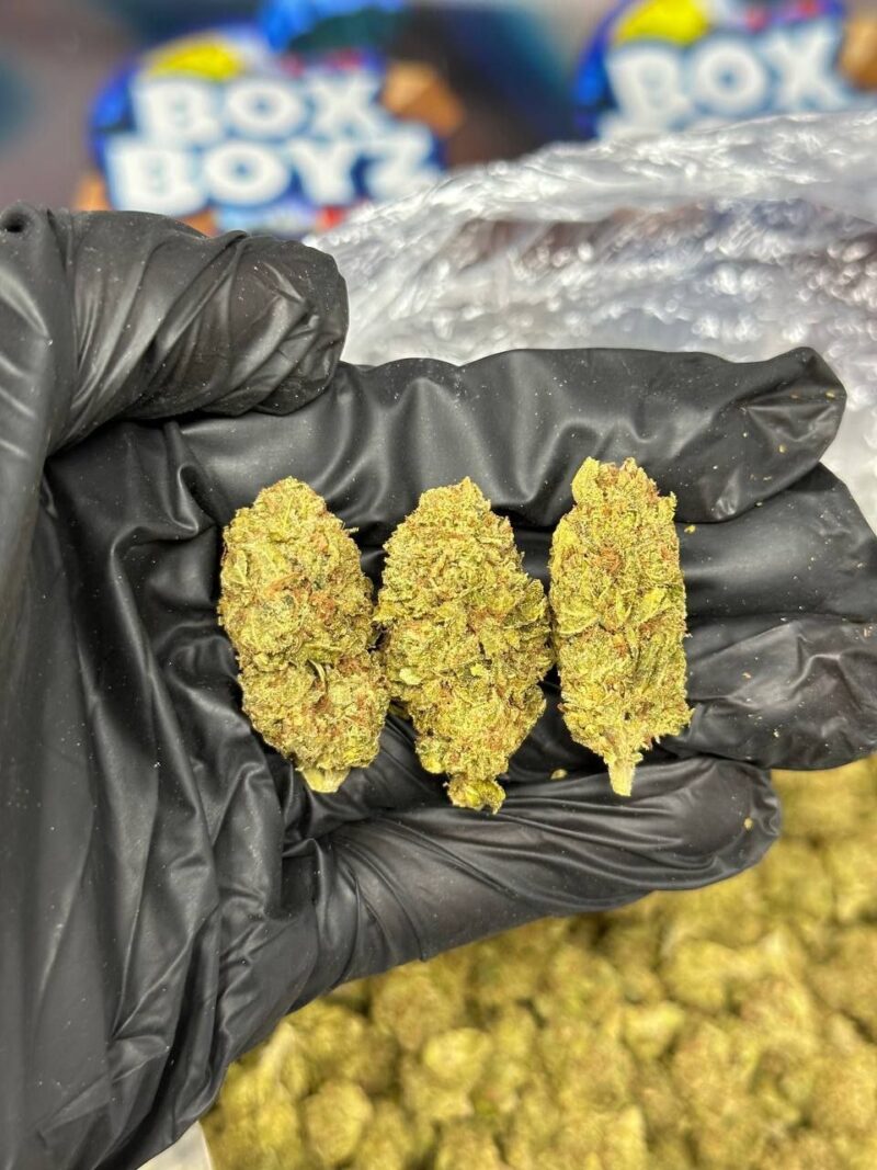 Rainbow SHERBs  strain
