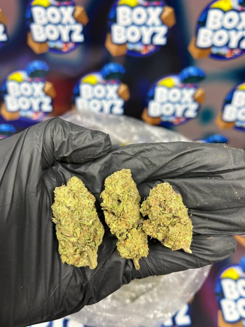 Lemon Haze strain