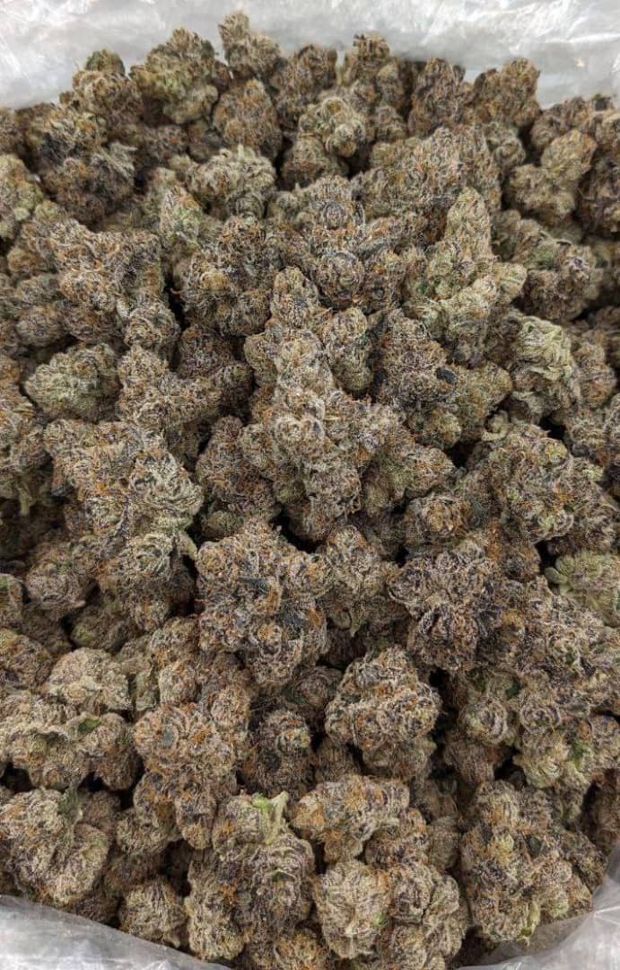 runtz strain
