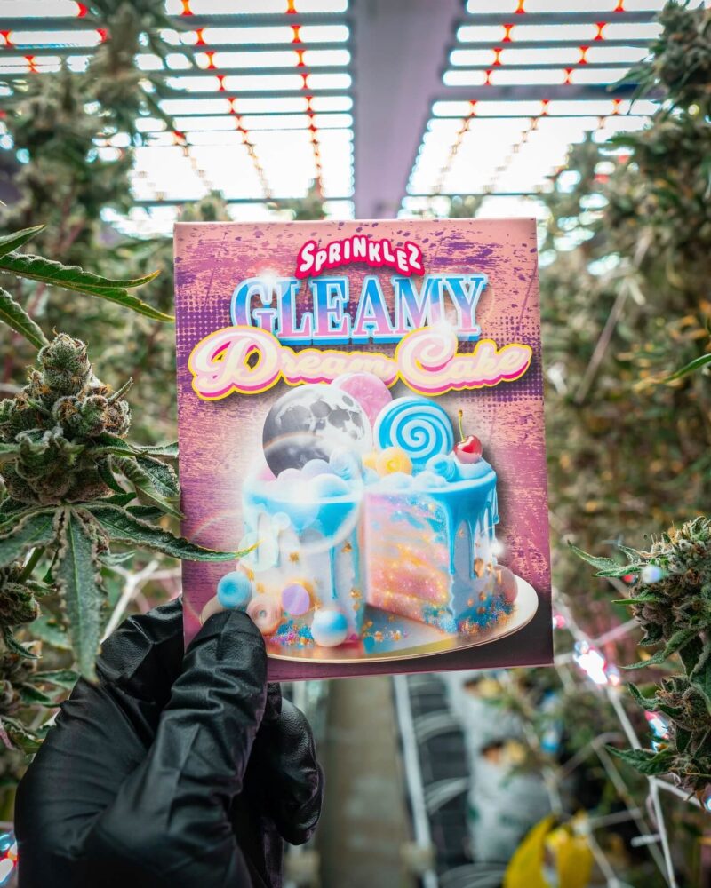 Gleamy Dream Cake