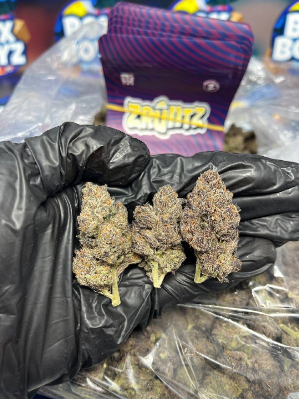 ZRUNTZ Strain