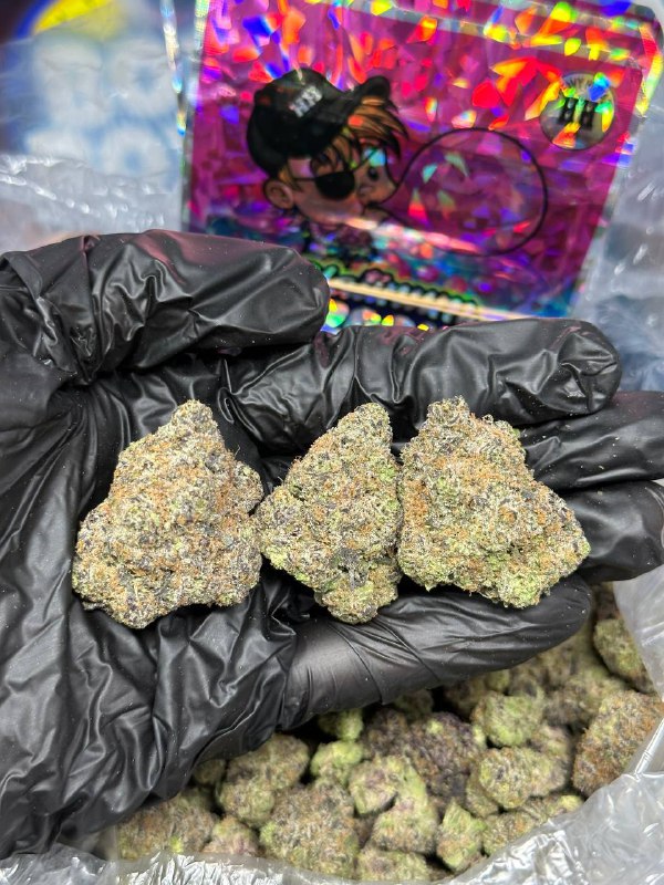 Bazooka Bubble Gum Gelato Strain
