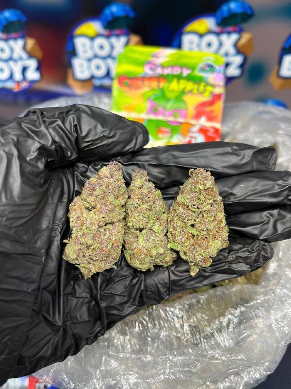CANDY CHERRY APPLEZ  Strain