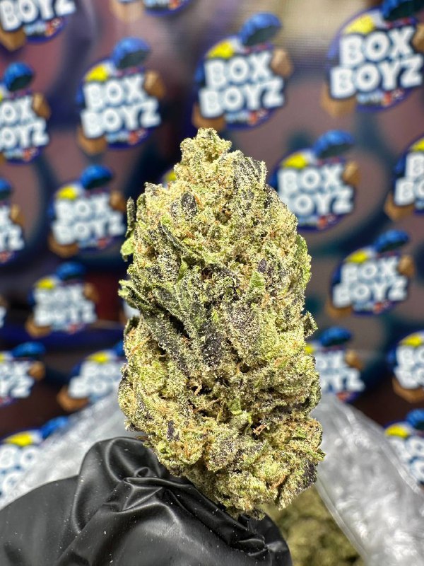 Bubble Gum Cherries Strain